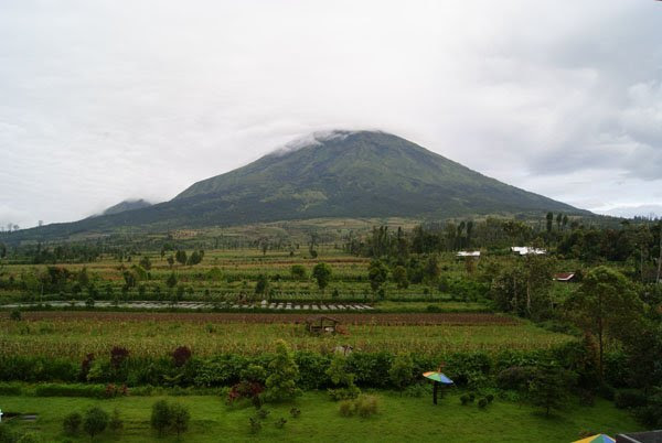 paket wisata ziarah wali songo