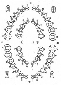 歯式の読み方