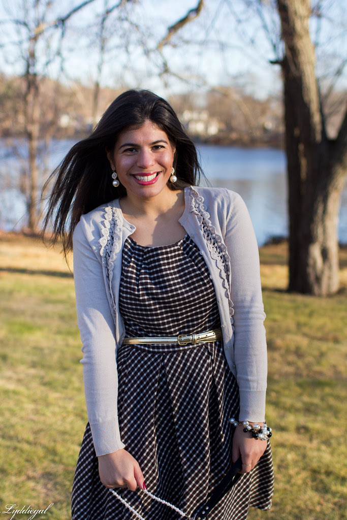 gingham dress cardigan thanksgiving-3.jpg