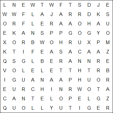 Word Search Puzzle Examples