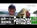 [最も共有された！ √] ベイト フィネス シャッド 570257