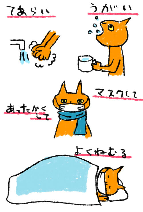 Minemine日記 風邪予防 インフルエンザ予防