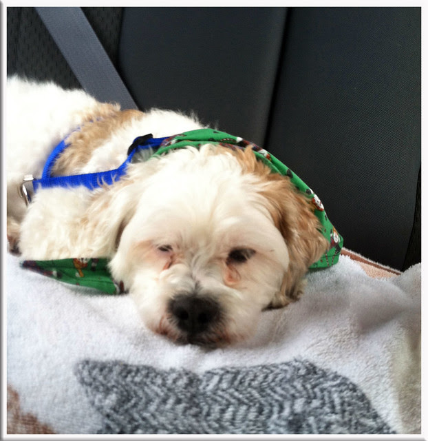 Arewethereyet