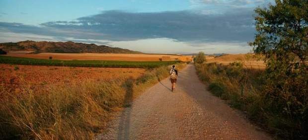 Cielo y tierra: por el Camino de Santiago a su paso por los campos de Castilla (España)
