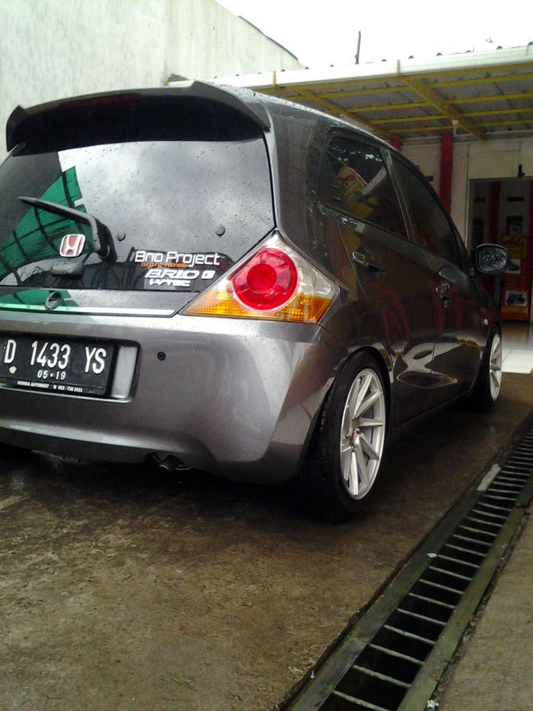 Brio "Baby Grey"! - Standard