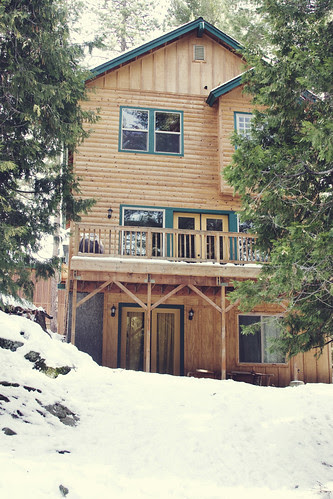 Cabin [362/365]