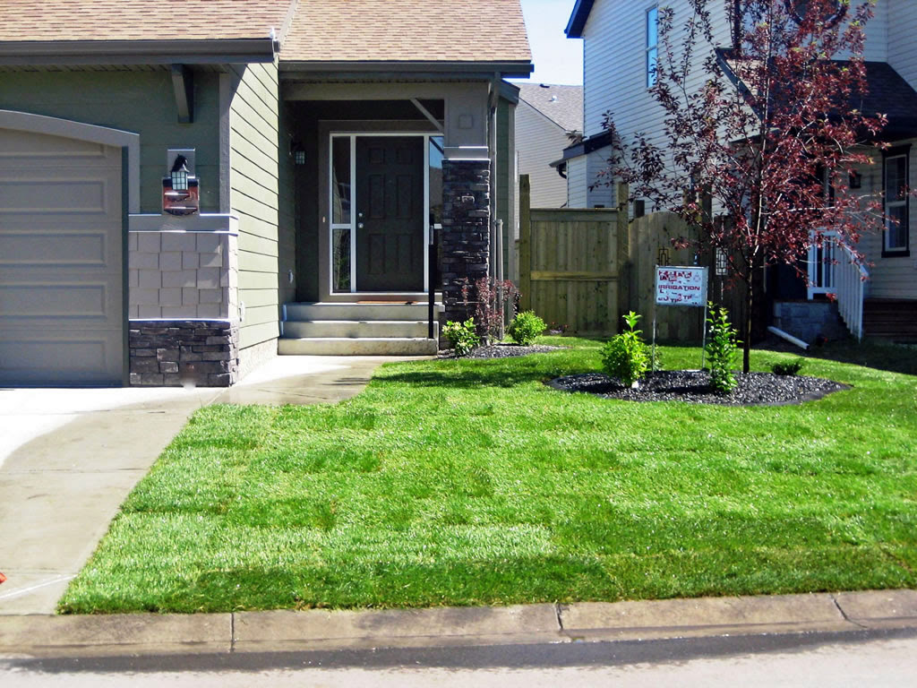 Front Yard Landscaping Ideas