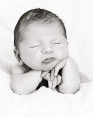 Newborn