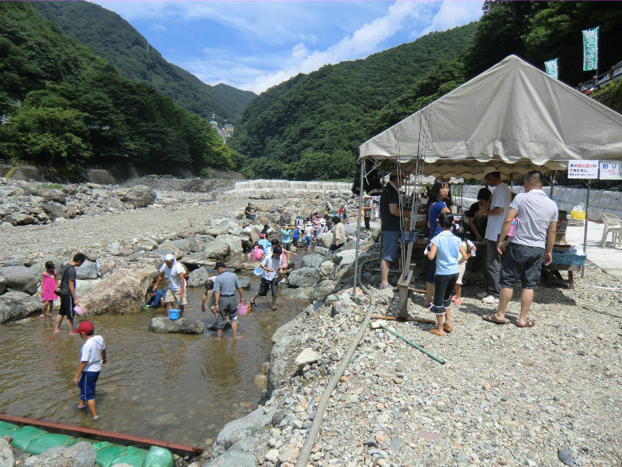 日光川治温泉 子供夏休み 魚のつかみ取り体験イベント 川治鬼怒川 関東栃木県日光 関東東京遊び場日帰りドライブマップ 家族子供のお出かけスポット