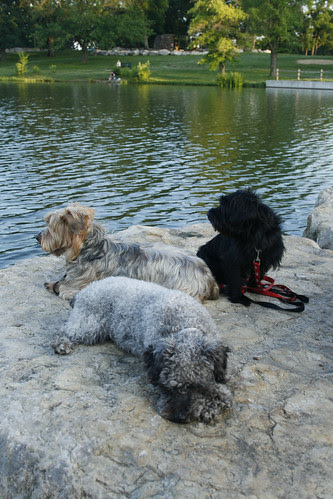 Week 23 - Chilling at the Lake