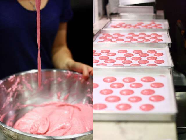 Macaron Making