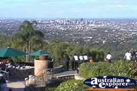 Mt cootha garden