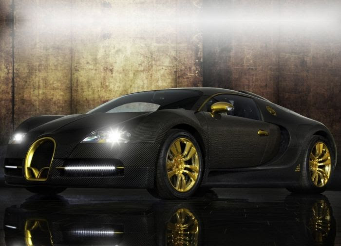 Mansory Bugatti Veyron (14 pics)