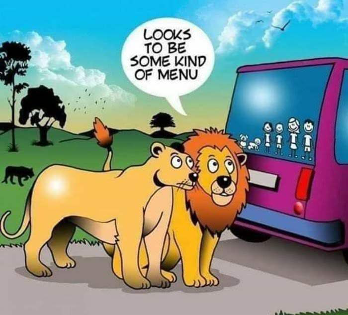 dailyhaha funny pictures