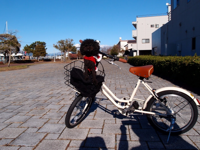 オオムラ 自転車