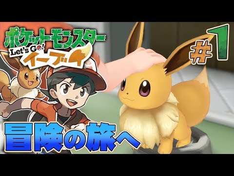ポケモン こ だい の きんか