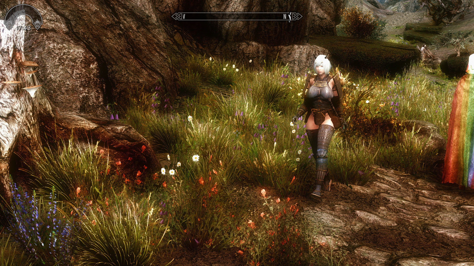 Skyrim 景観mod追加導入 Polestar 北極星 ときどきにっき べーた