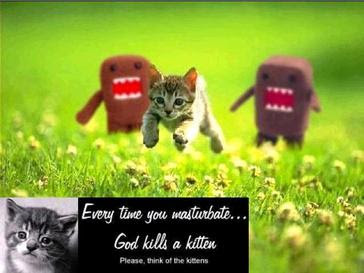God kills kitten 8206 638