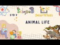 15+ Animal Body Covering Worksheets For Kindergarten Pics