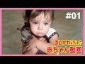 赤ちゃん の 可愛い 動画 154013-可愛い 双子 の 赤ちゃん の 動画