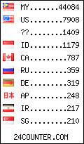 visitors by country counter