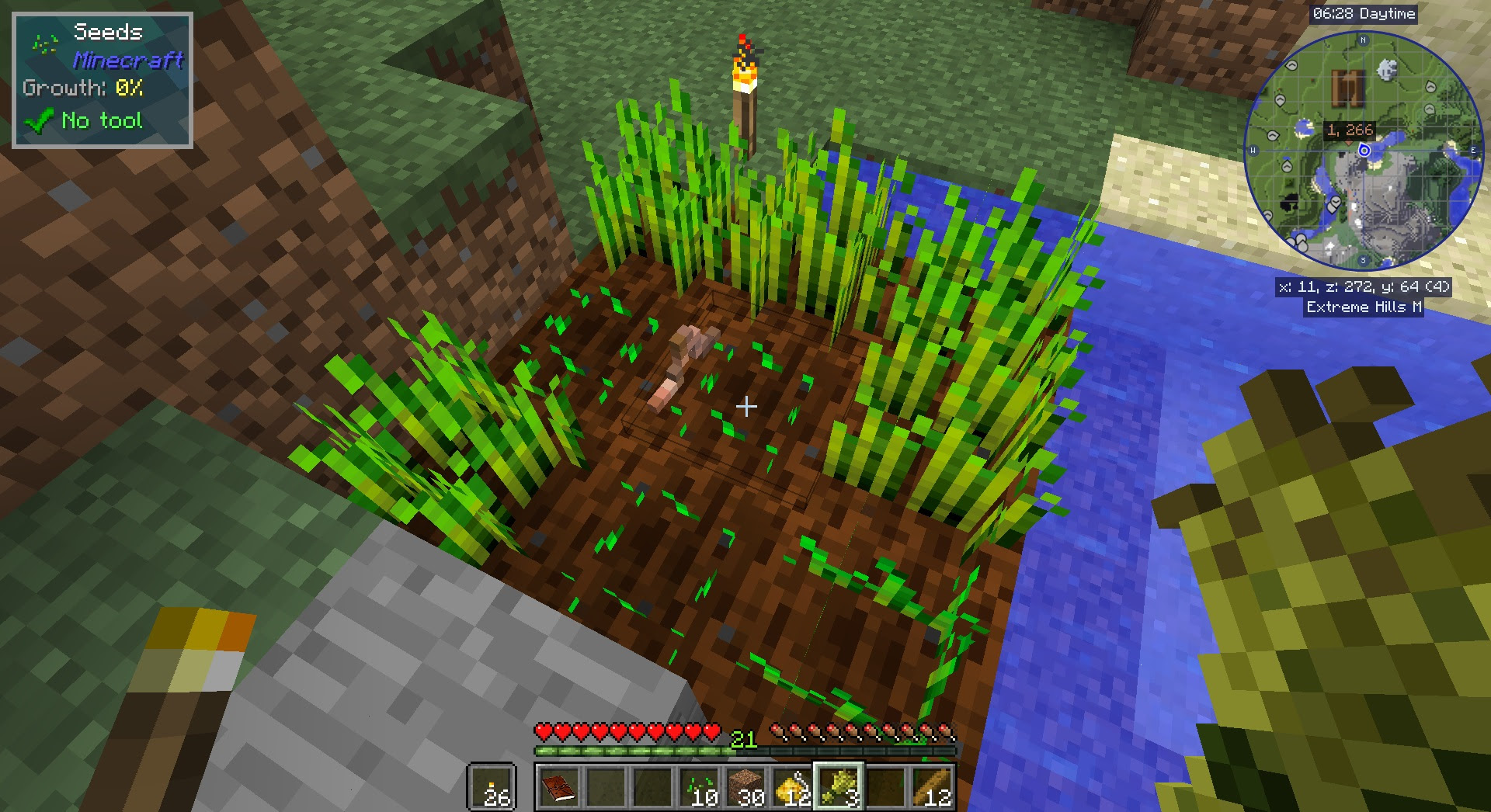 Minecraft Billionaire 1 Charcoal Pit Ak S