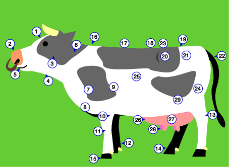 身体各部の名称