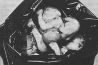 foto aborto omicidio