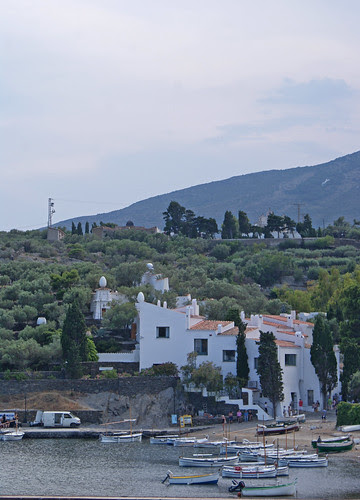 DSC08018