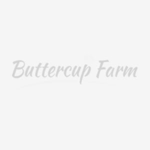 Buttercup All Weather Outdoor Bird Aviary Pet Cage 8' x 4 ...