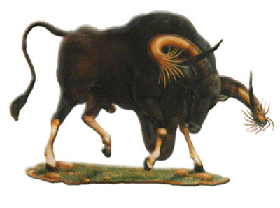 カンボジアの象徴 動植物 カンボジア クロマーマガジン