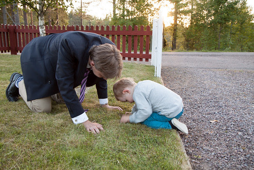 Albin tar studenten