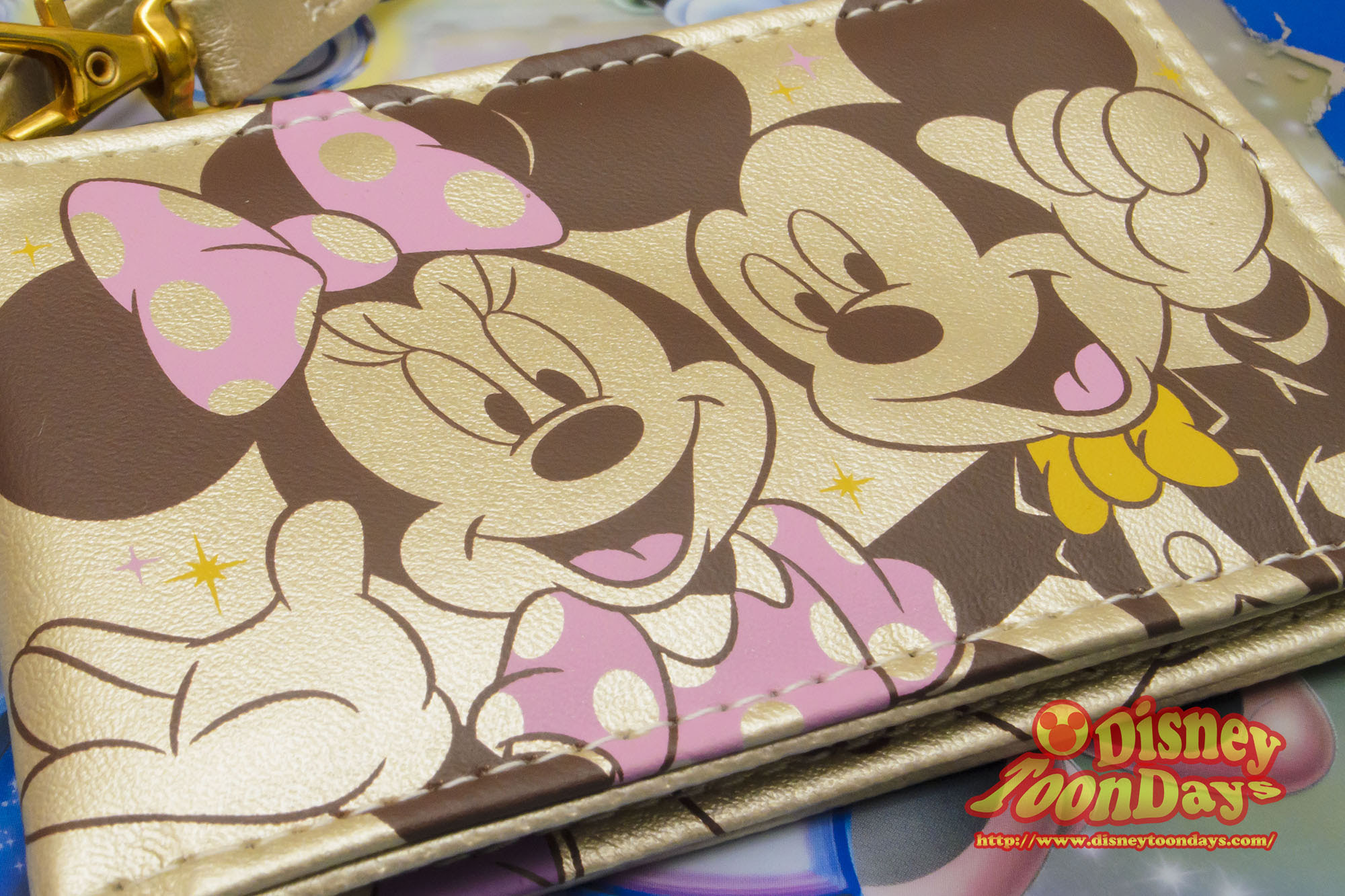 年間パスポート購入者限定非売品パスポートケース ディズニーブログ Toondays