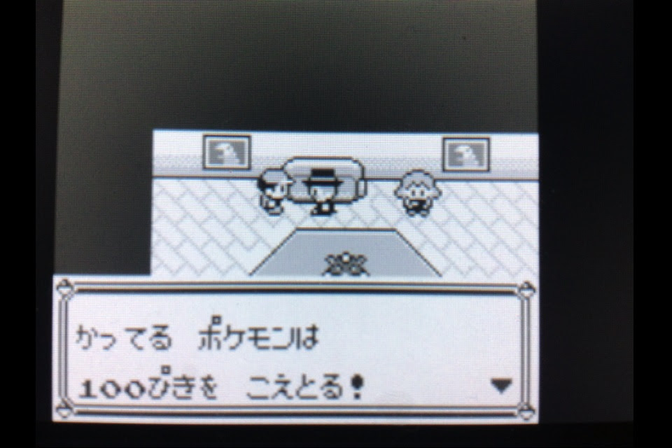 ポケットモンスターを遊びつくす日記 第5話 うさぎの隠れ家