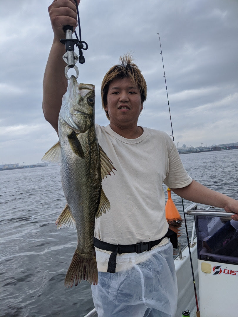 シーバスの釣果 年6月14日 Fujiyama 大阪府 大阪マリンターミナル ベリー釣船予約