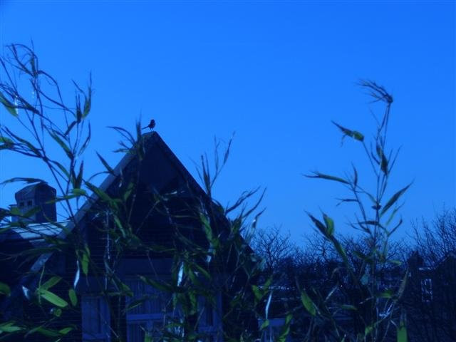 ciel.jpg