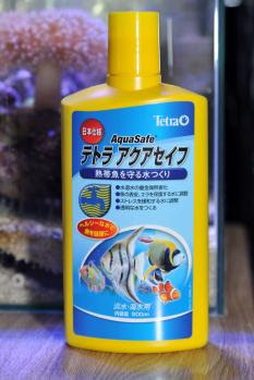 妄想アクアリウム ベタの飼育は難しい