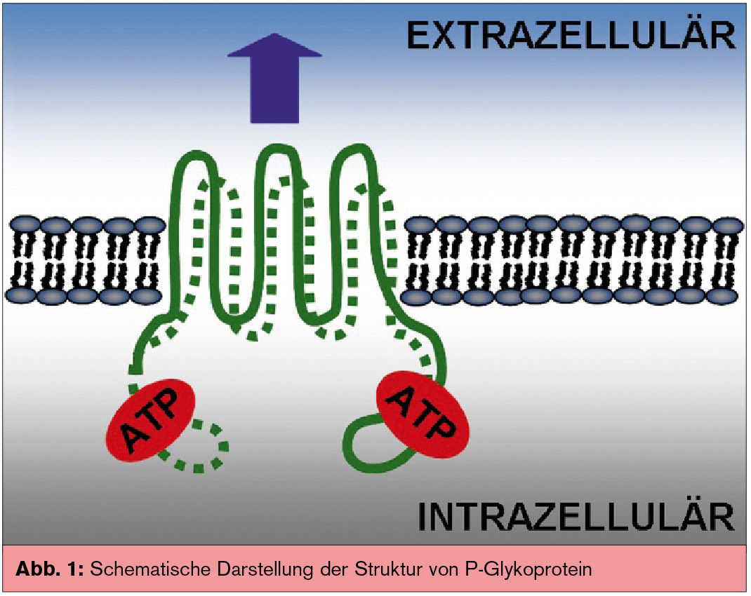 Pharmakologische Aspekte | Universum Innere Medizin | MedMedia