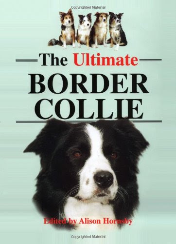 The Ultimate Border Collie