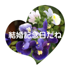 結婚記念日16 Lineスタンプ Tapi