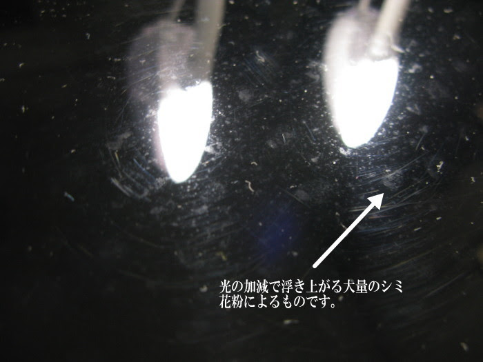 花粉 車塗装のシミの除去 対策の研究 トラブルの研究 究明