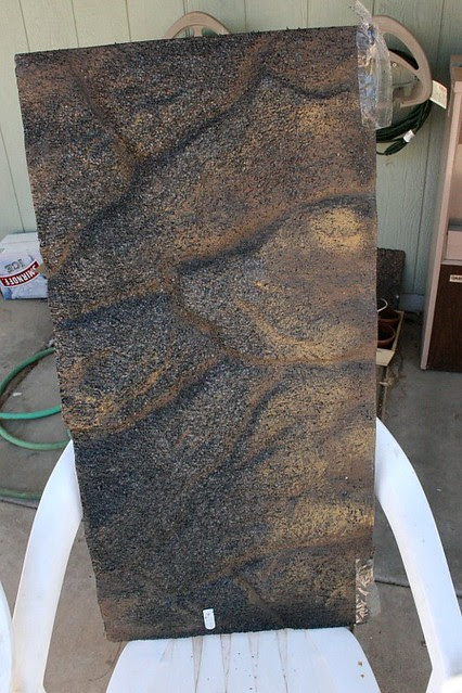 Reptile Climbing Wall Before