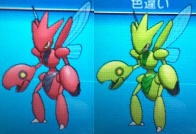 色違いに釘付け ハッサム Xy