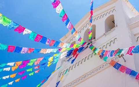 Mexico bunting