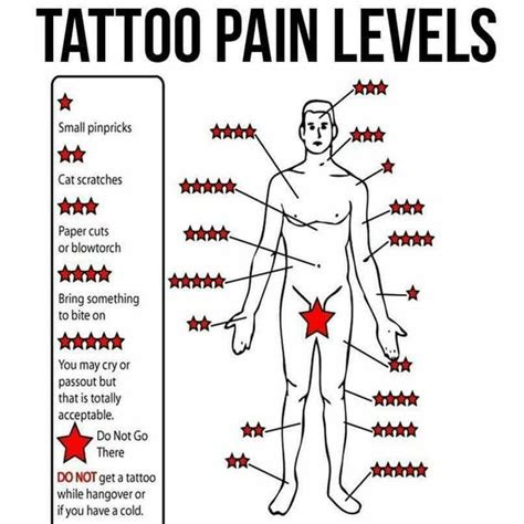 rib tattoos hurt    pain compare