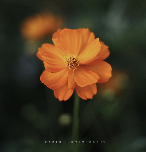 Ananda Suthanthiram (by Thru Lens)