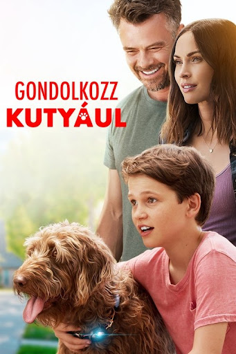 Kép