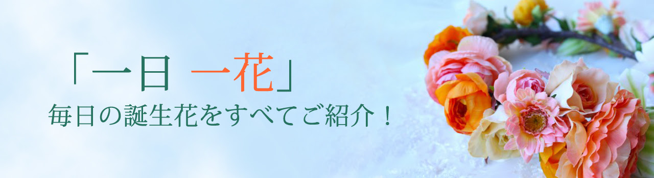 366日 誕生花の辞典 １年間の花ことば 花言葉 誕生日の花の図鑑