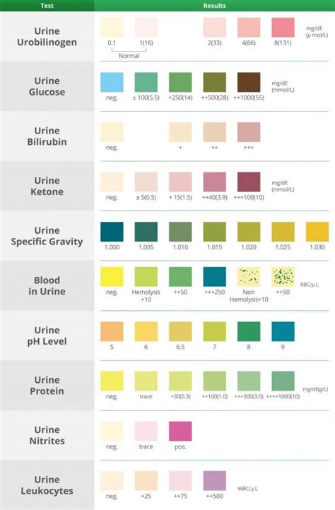  normal urine test results chart carolineabbwolf pets with diabetes