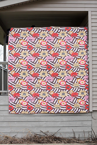 Giant Neutral Plus Quilt by jenib320
